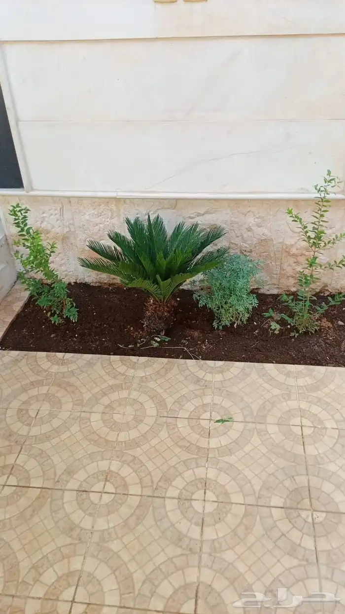 تنسق حدائق 3