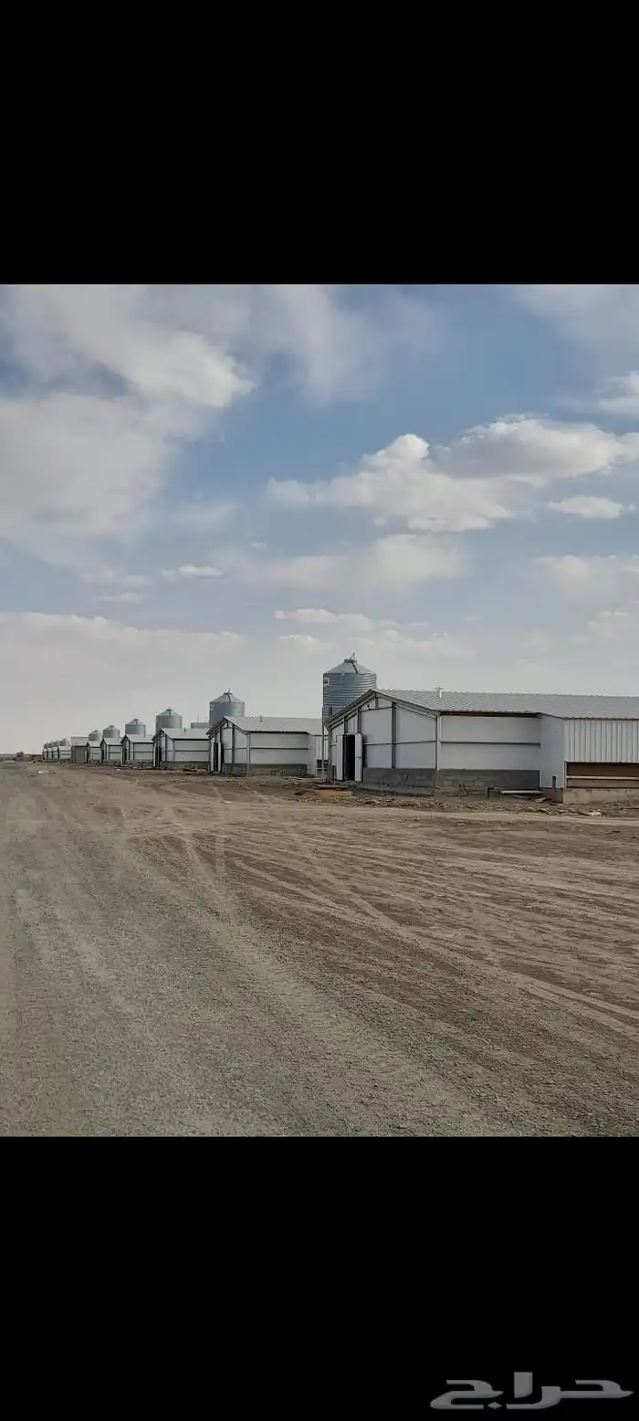 موسسه مقاولات لأنشاء حضائر الدواجن واللوحات الكهربائيه 29