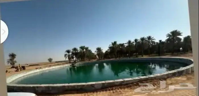 ب ل ه   يو ا  امري 2019 0