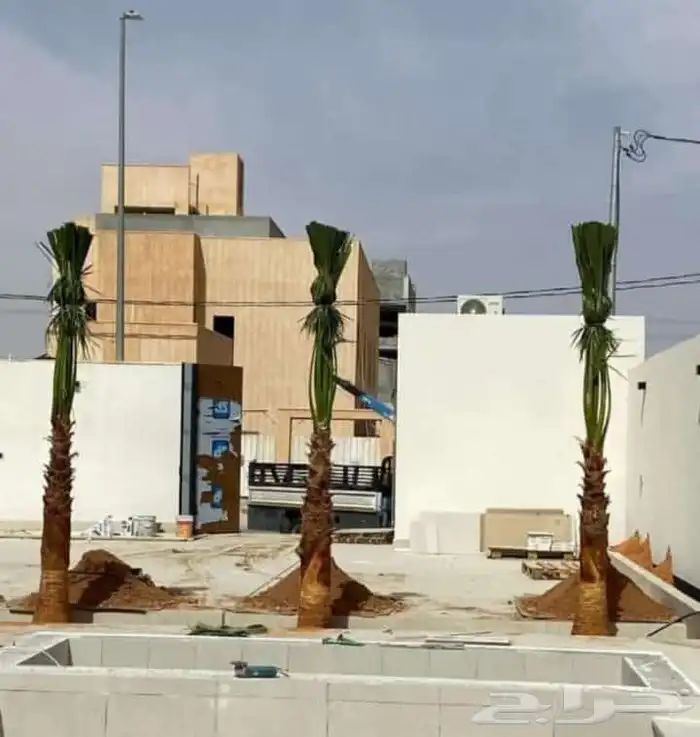 مقاول شبوك ونخيل 4