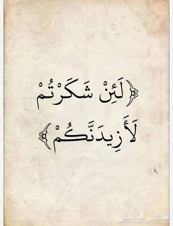 الرقيقة - الاحساء 7