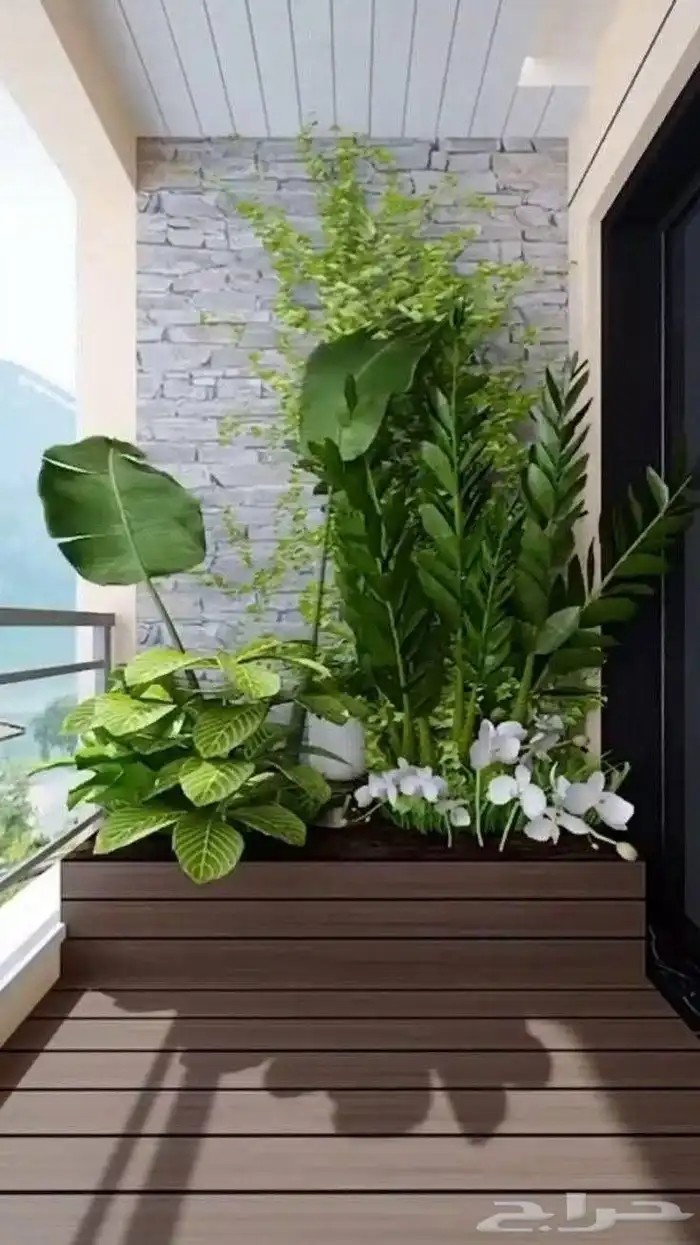 مؤسسة زهرة الخليج الزراعية -نجران -دحضة 6