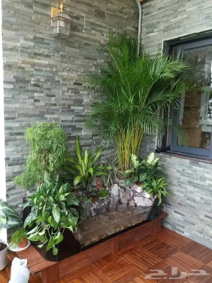 مؤسسة زهرة الخليج الزراعية -نجران -دحضة 2