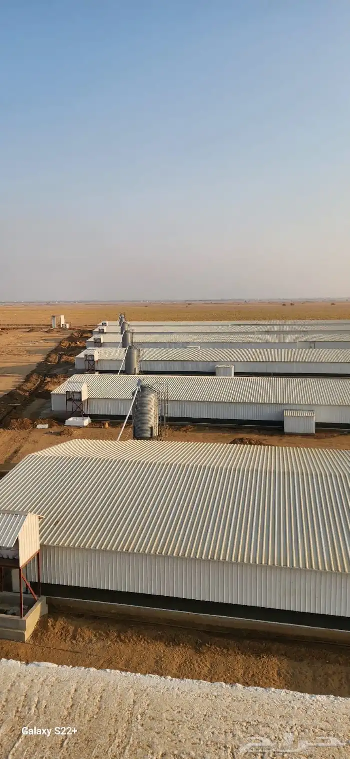 موسسه مقاولات لأنشاء حضائر الدواجن واللوحات الكهربائيه 32