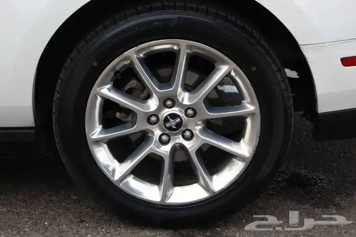 جنوط موستنج بريميوم فل اوبشن 1