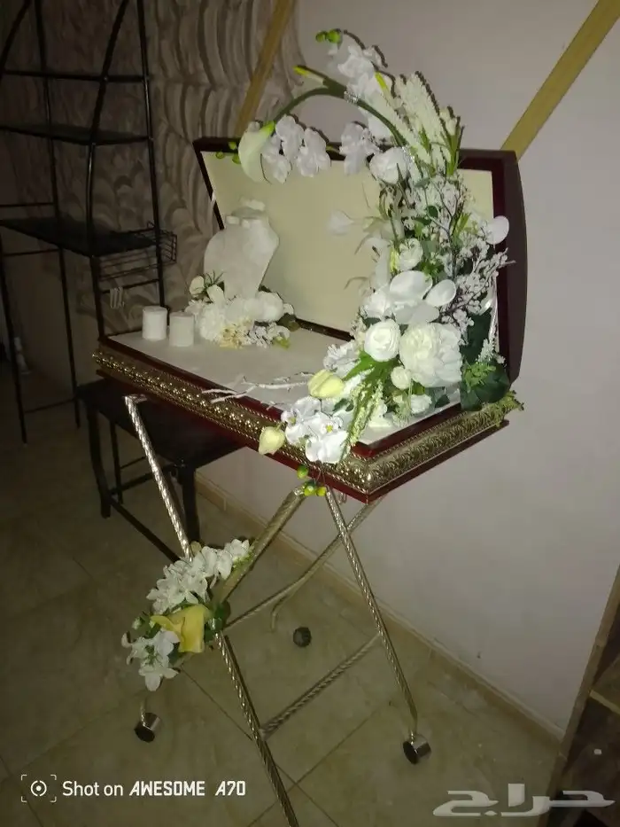 عربية شبكة او ملكة جديده 9