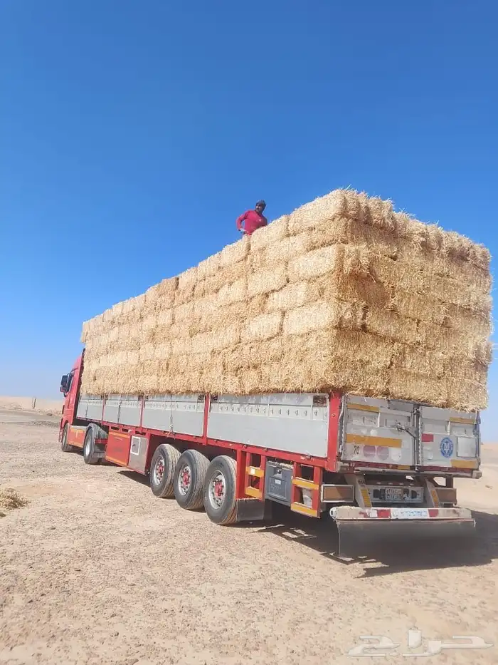 تبن بر حولي وجديد والدفع عند الوصول 6