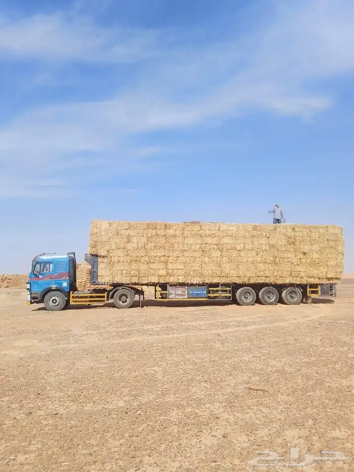 تبن بر حولي وجديد والدفع عند الوصول 4