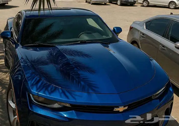 سمكرة بوية رش وكالة رش مطفي رش تجميلي 1