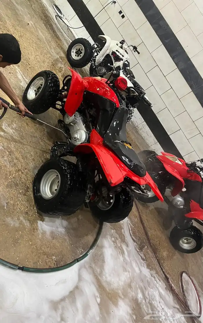 دباب للبيع 250 الشرط 3