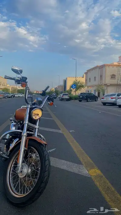 هارلي 1200 xl index