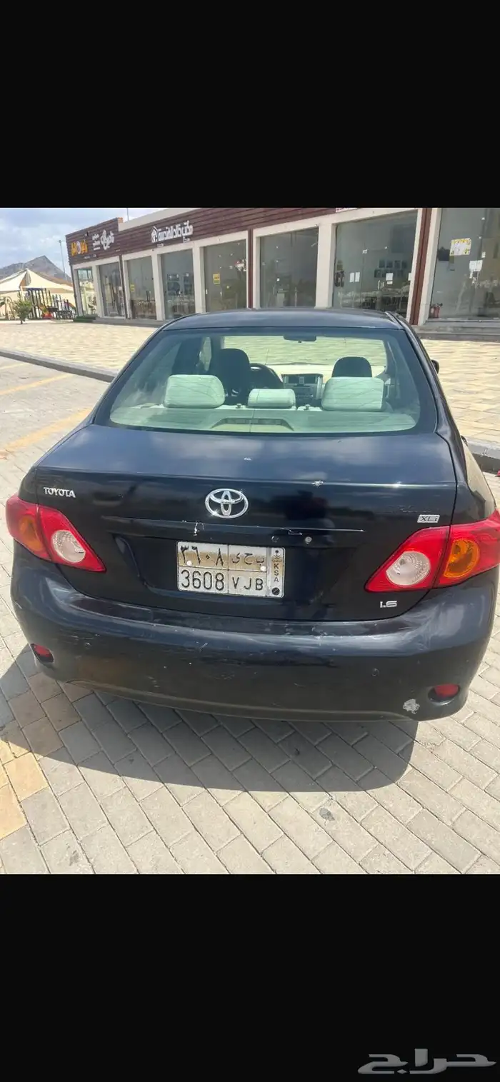 كوريلا نظيفة 2