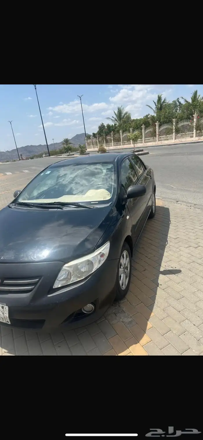 كوريلا نظيفة 3