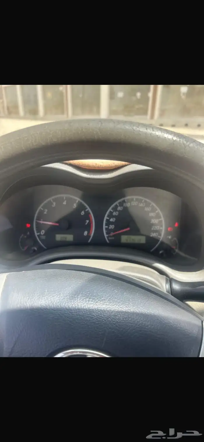 كوريلا نظيفة 1