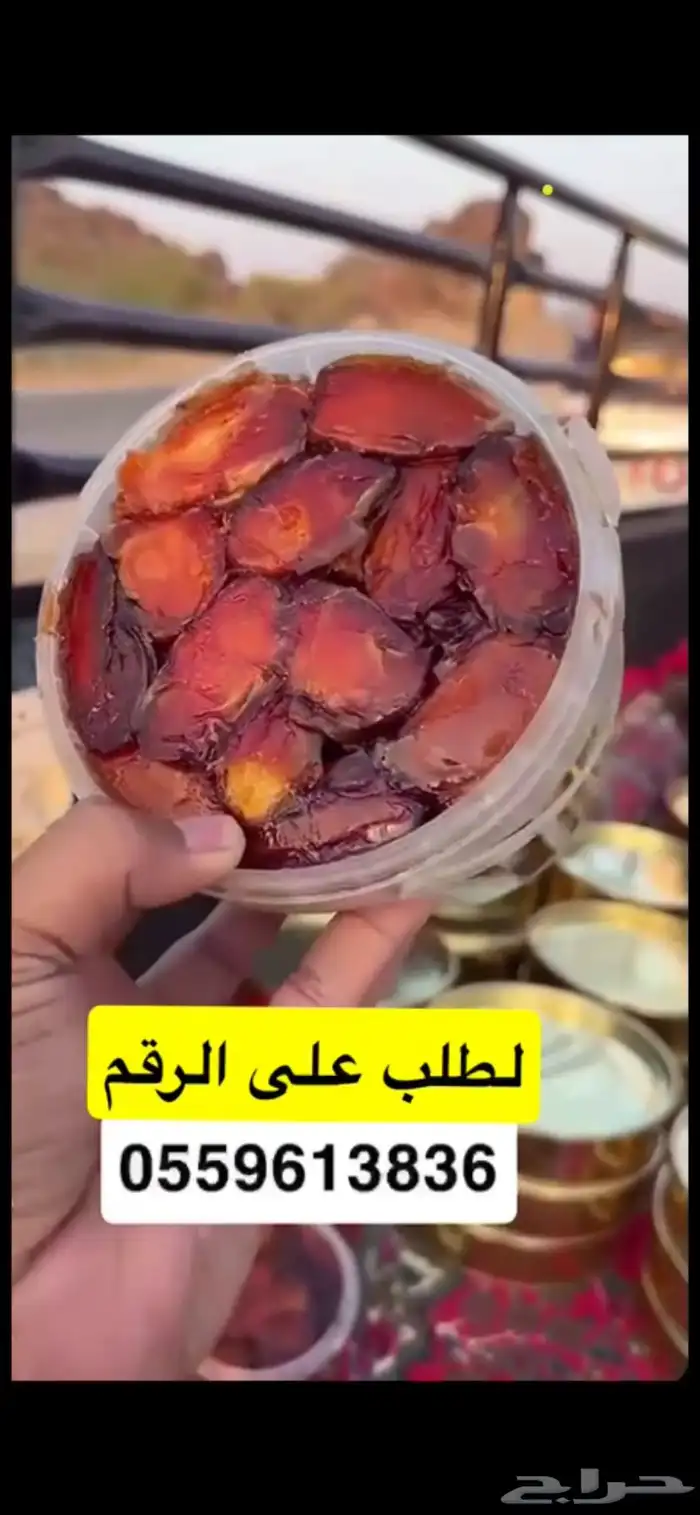 تمر صفري بيشه 1