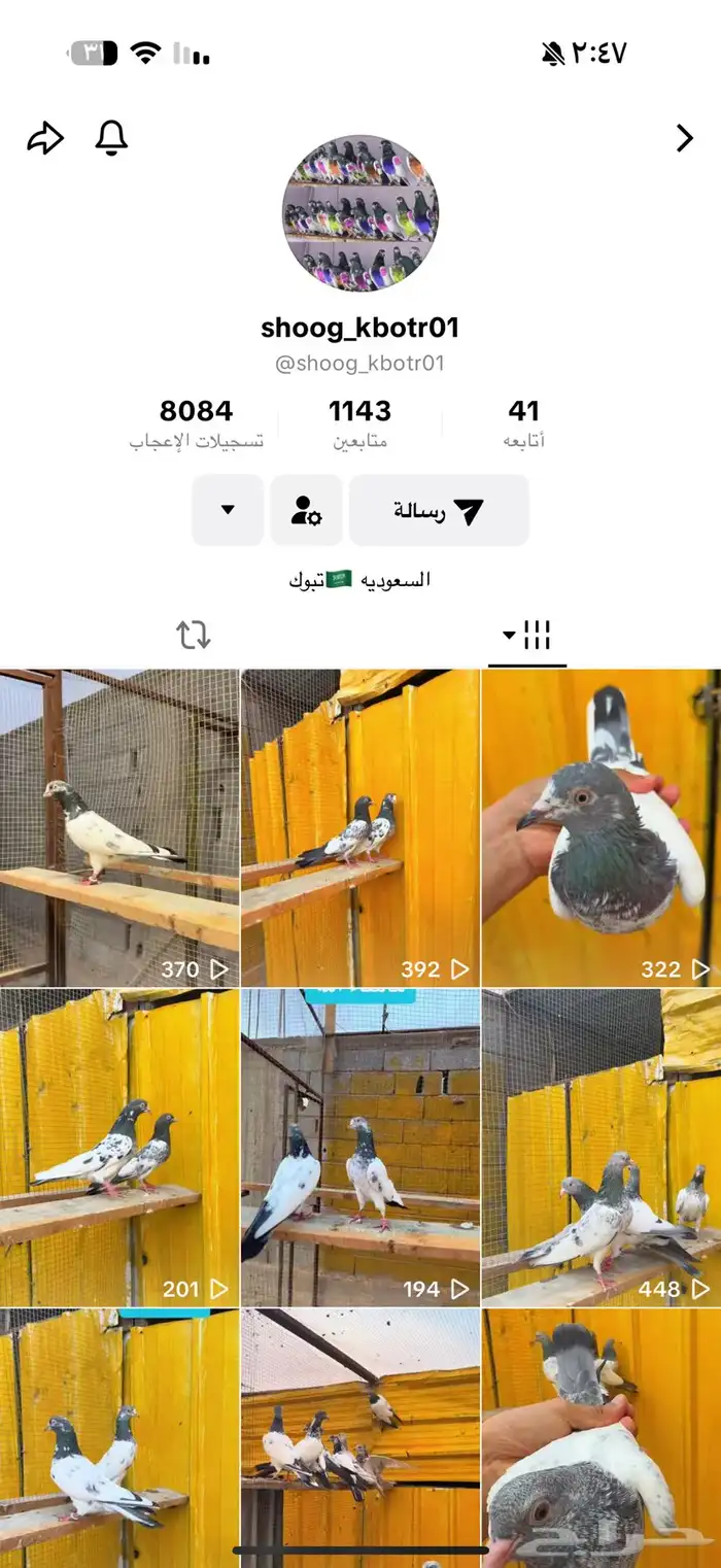 حمام باكستاني 7