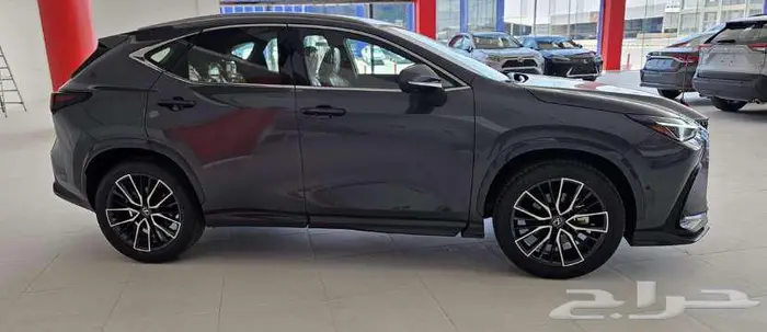 ليكزس NX 350 CC موديل 2025 2