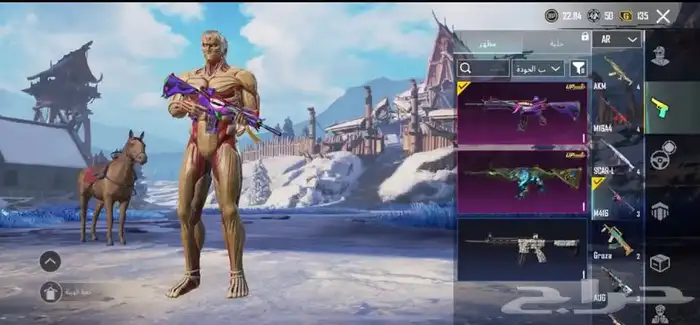 حساب ببجي للبيع فخم مستوى 70 4