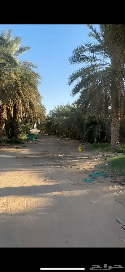 للبيع مزرعه بالخرج الضبيعه مساحه 274 الف index