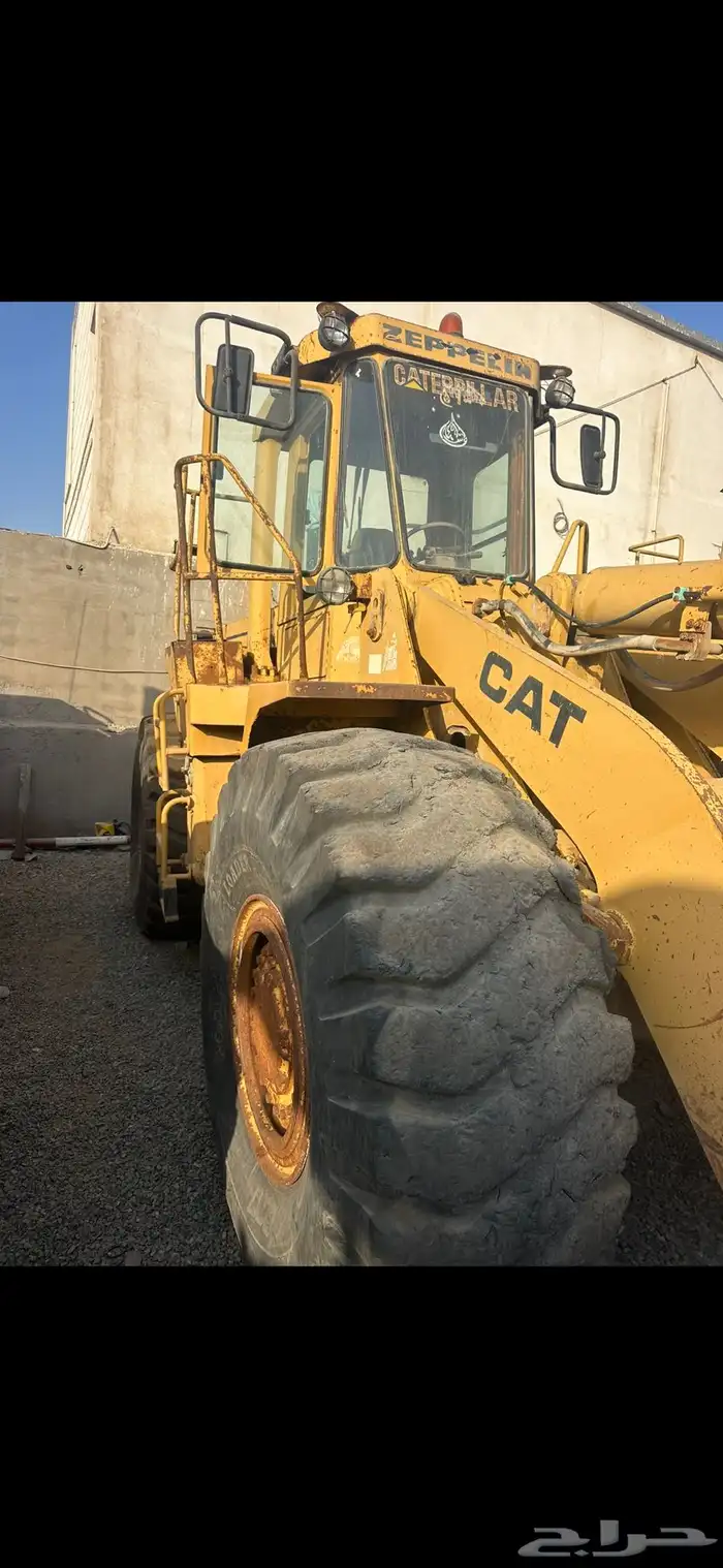 شيول للبيع 0