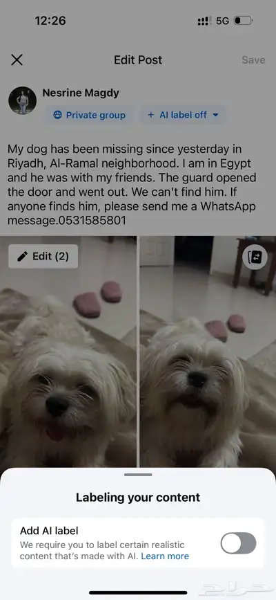 كلب ضايع مكافاءة لمن يجده index