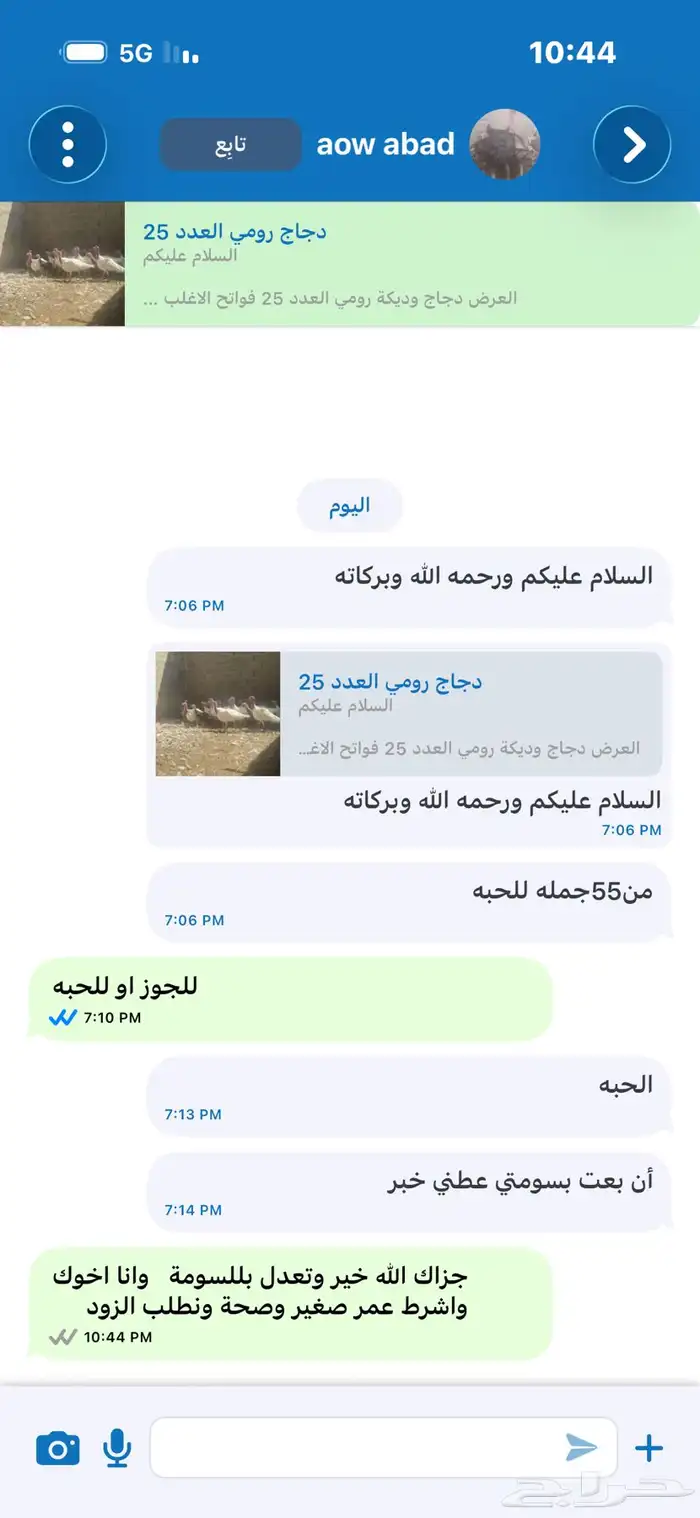 دجاج رومي العدد 25 12
