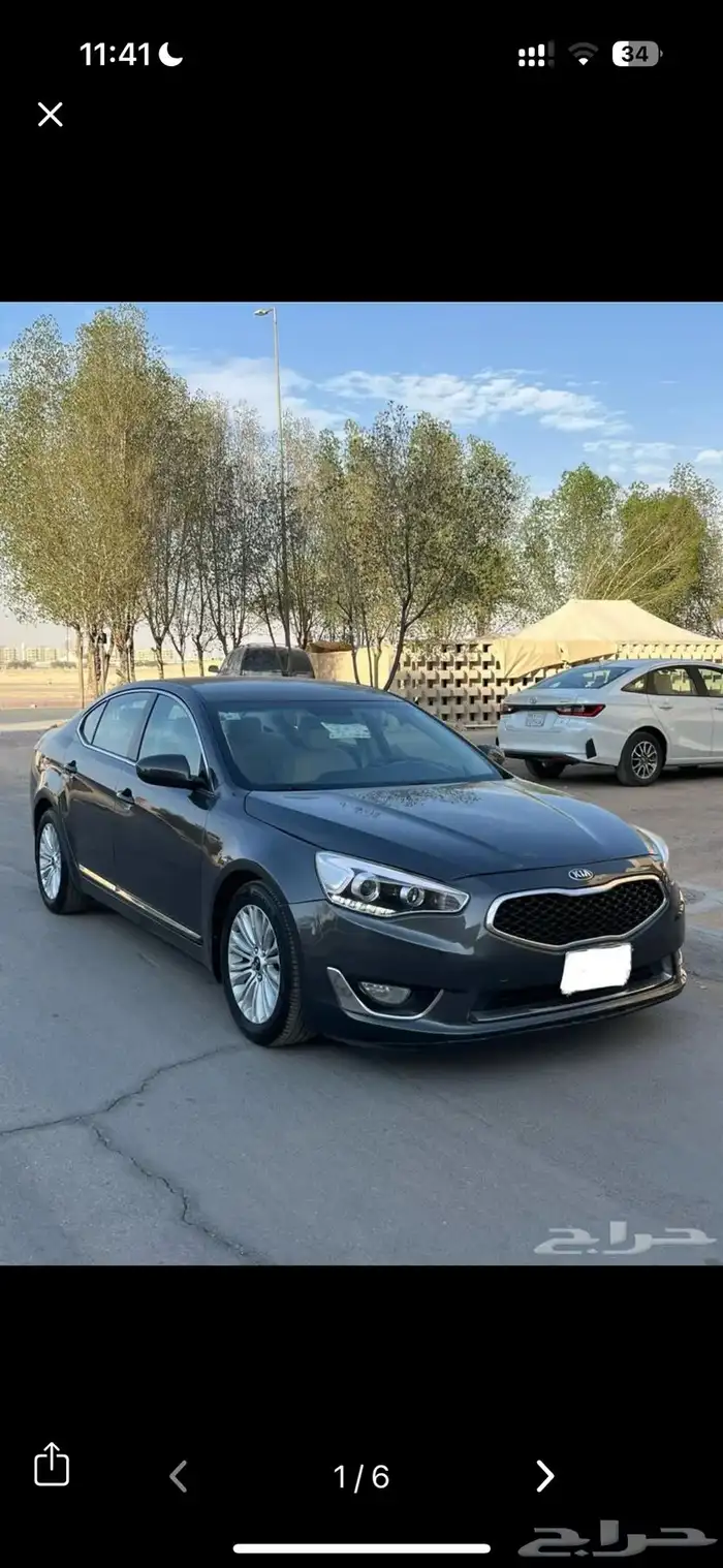مطلوب كادينزا 15 14 16 1