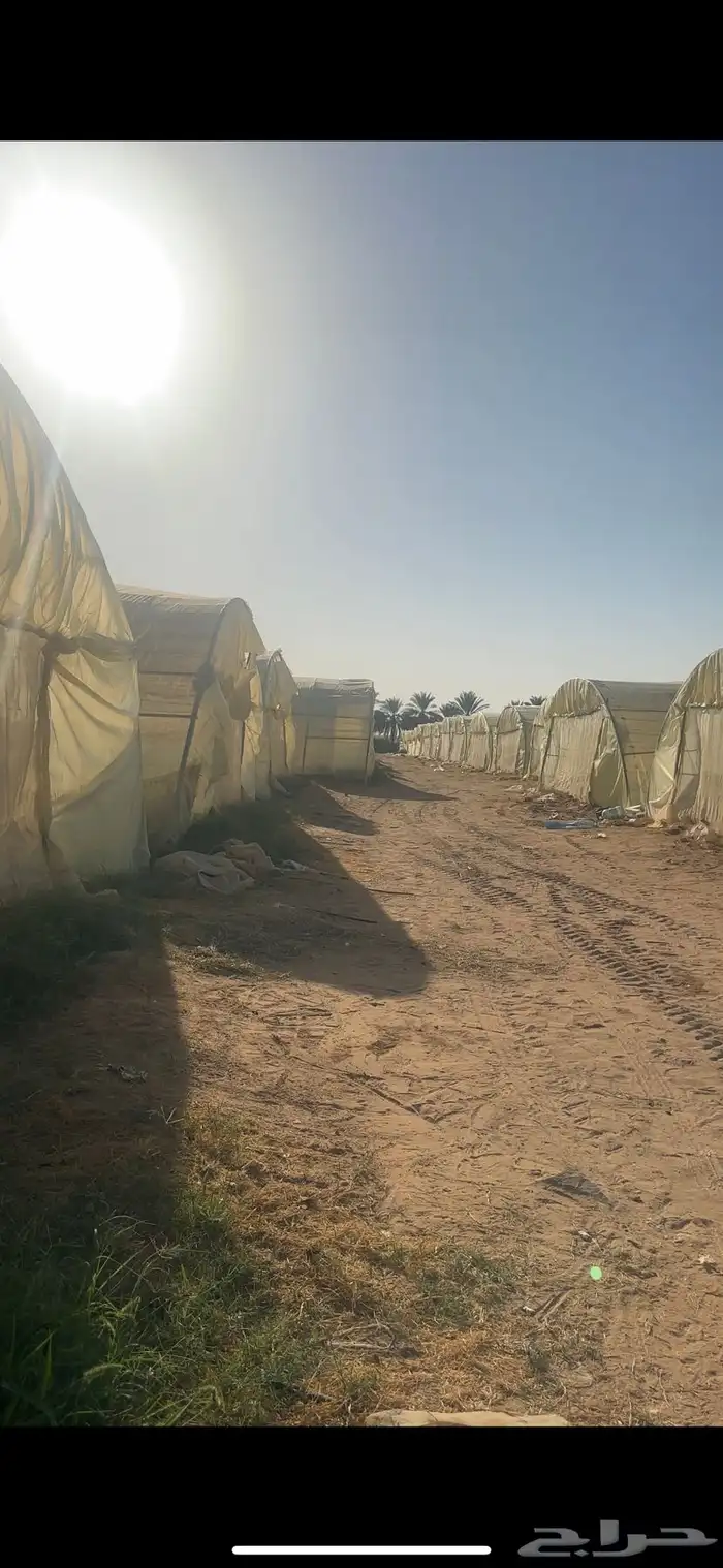 للبيع مزرعه بالخرج الضبيعه مساحه 274 الف 7