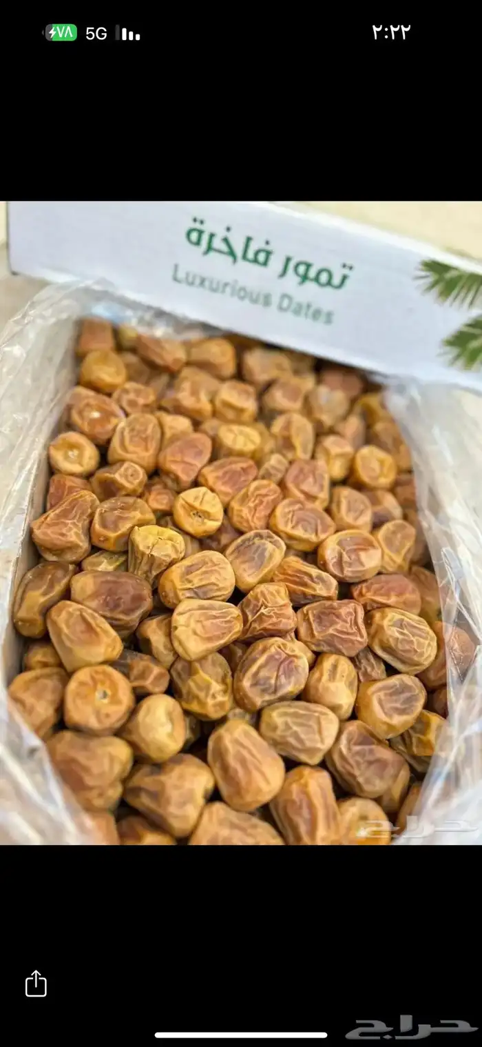 تمر سكري القصيم فاخر 1