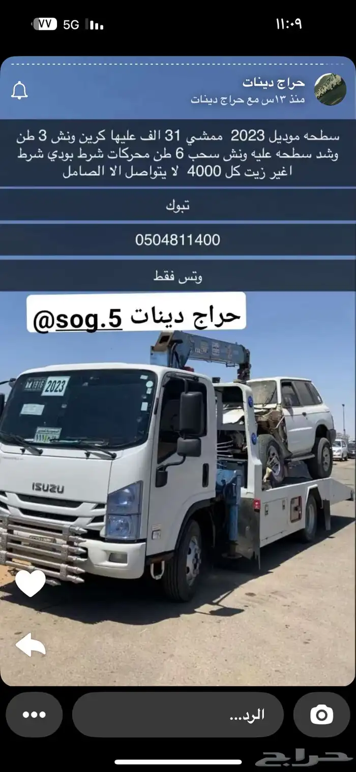 دينا ونش 0