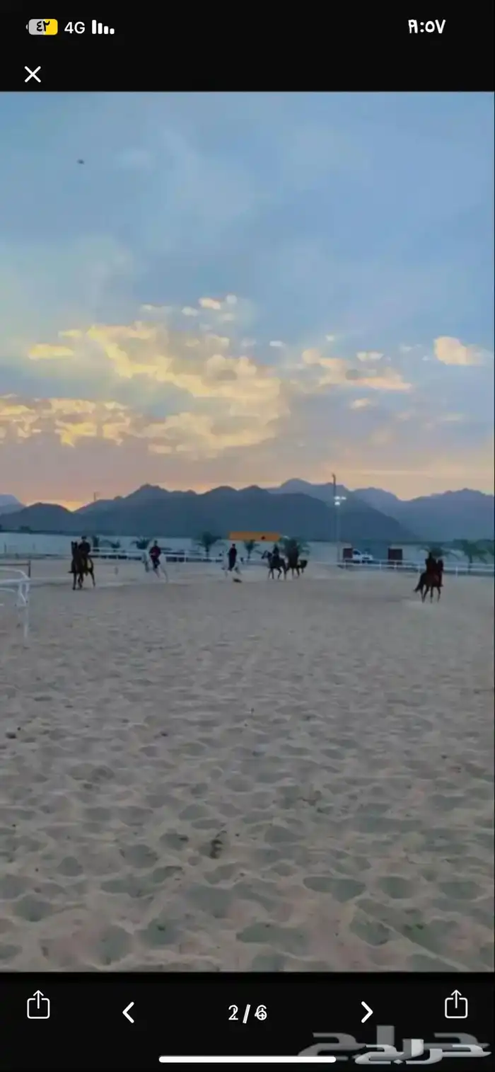 مربط الامواج يوجد غرف للاجار الله يحيي الجميع 0