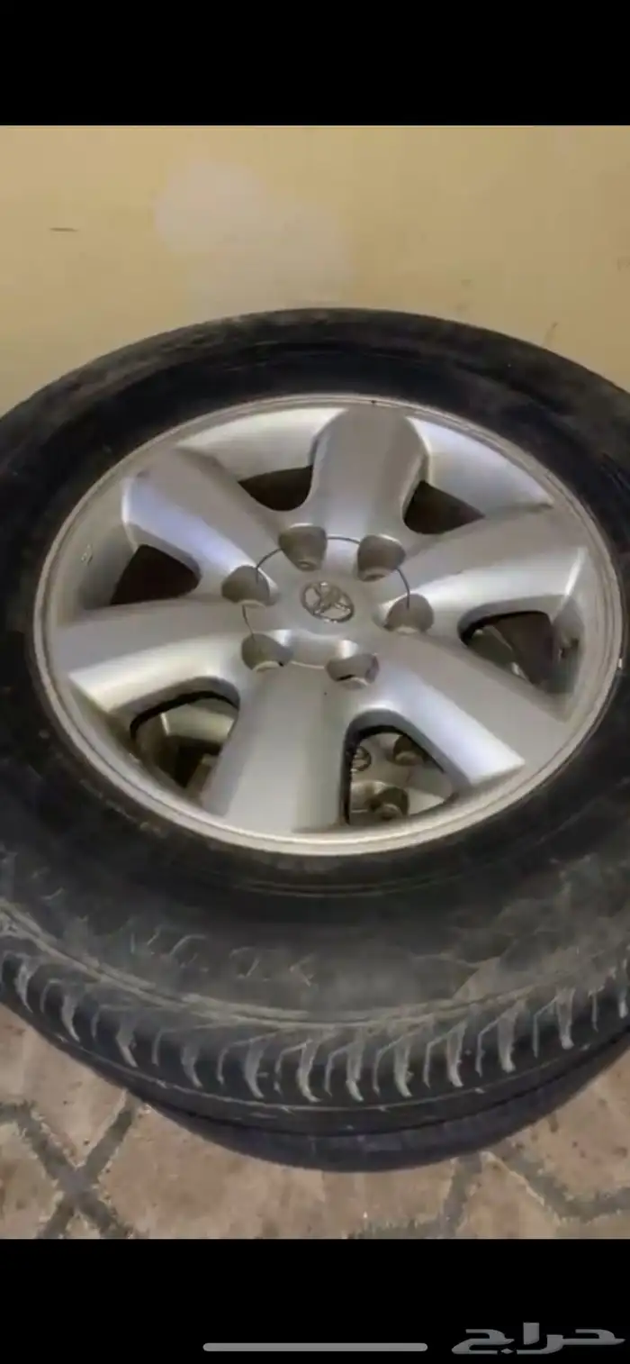 جنوط فورشنر وكاله 0