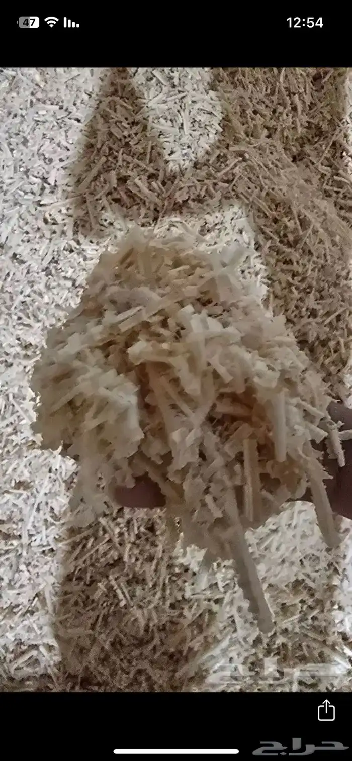 نشارة دواجن 0