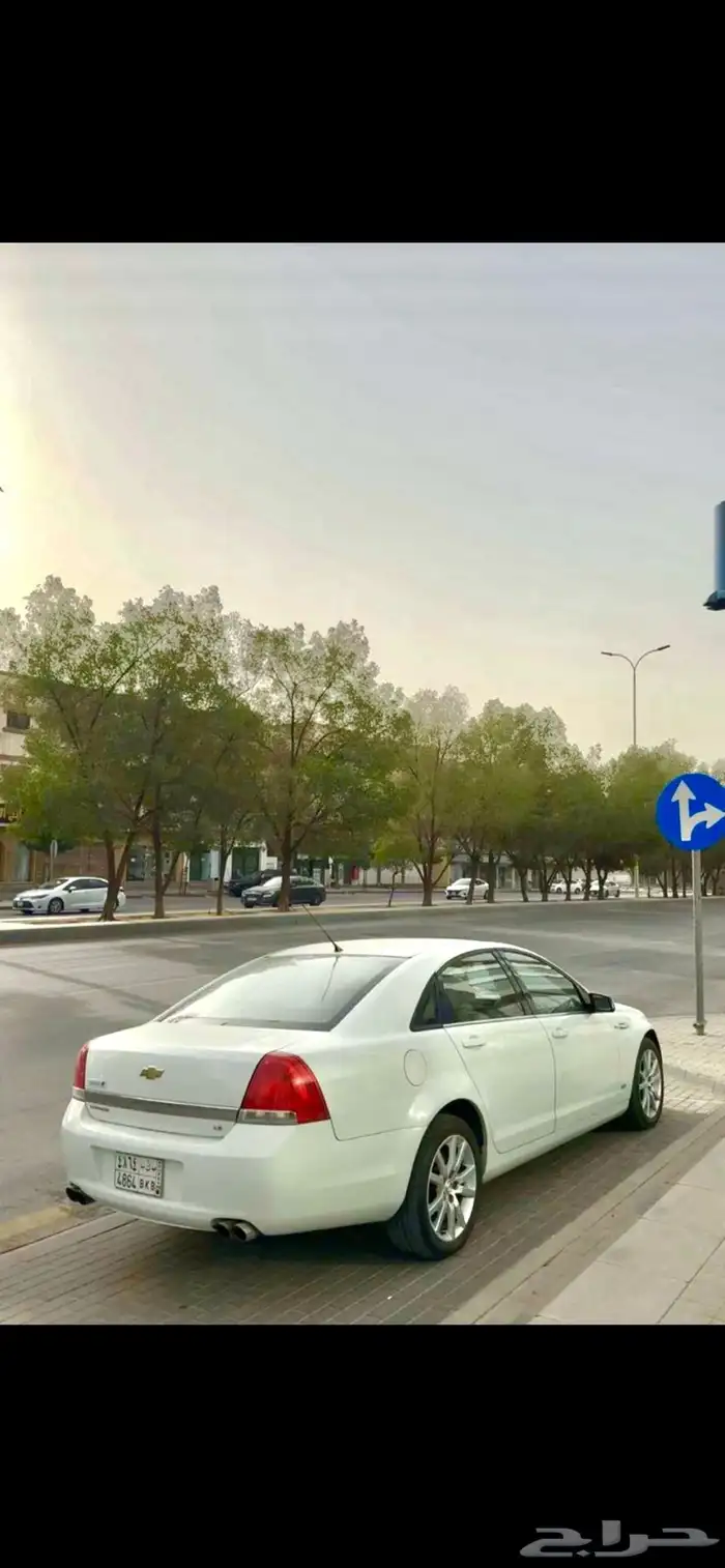 كابرس 2011 LS 5