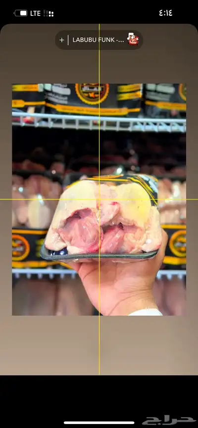 زغاليل بط وز ديكه index