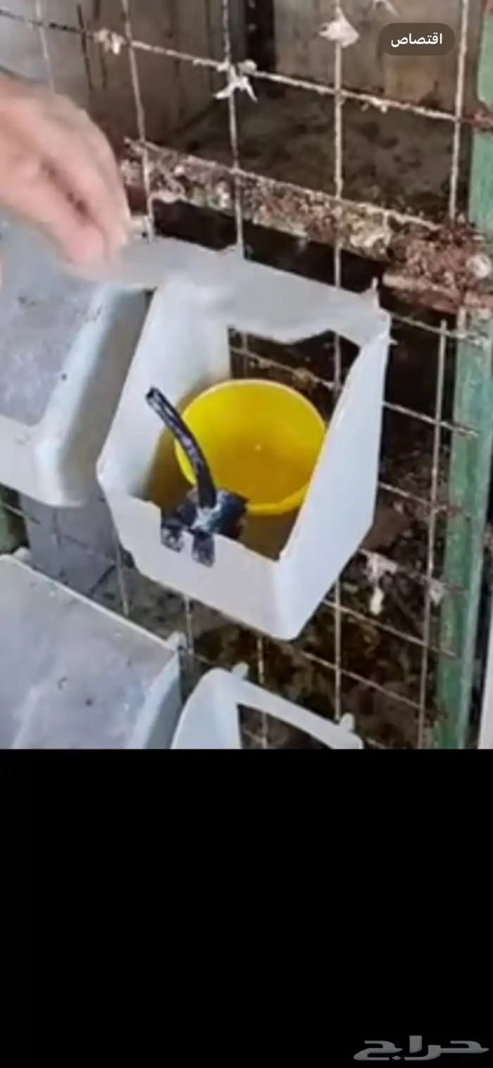 علبه سقايه 4