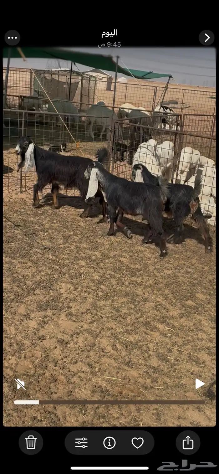 جفرات عوارض صنف الصنف معرفه 1