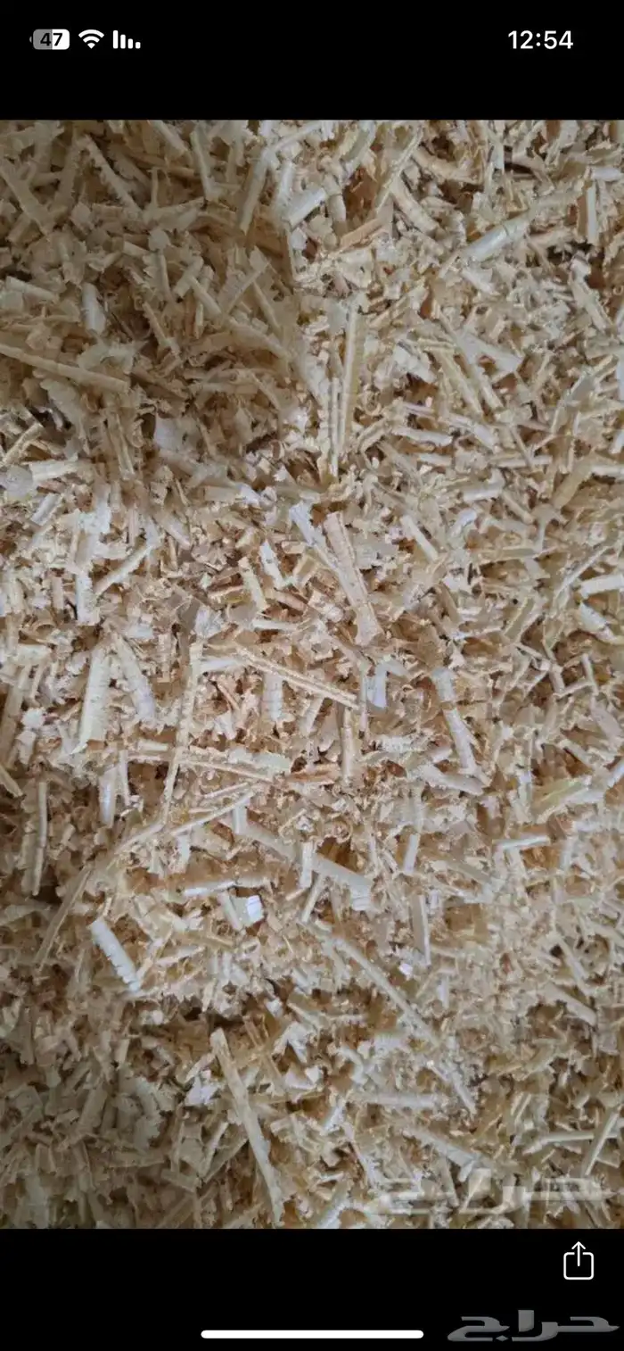 نشارة دواجن 1