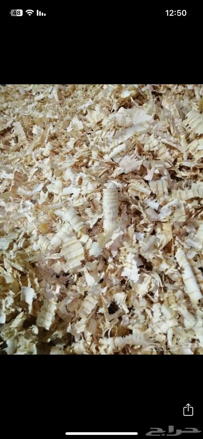 نشارة دواجن 2