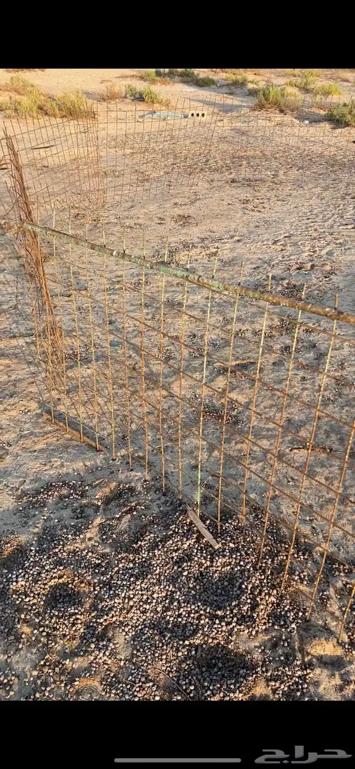 شبوك 5
