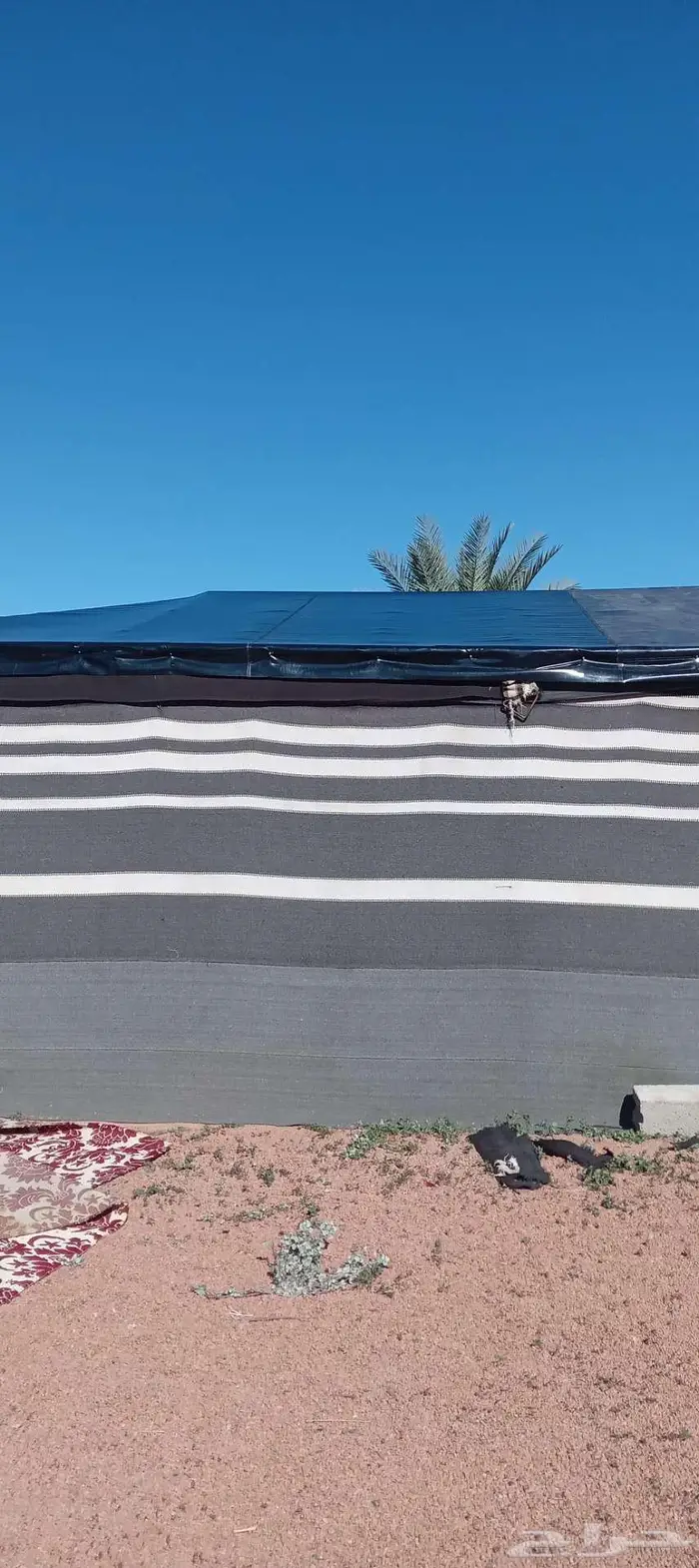 حائل حائل تركيب بيت شعر خياط بيت شعر 0