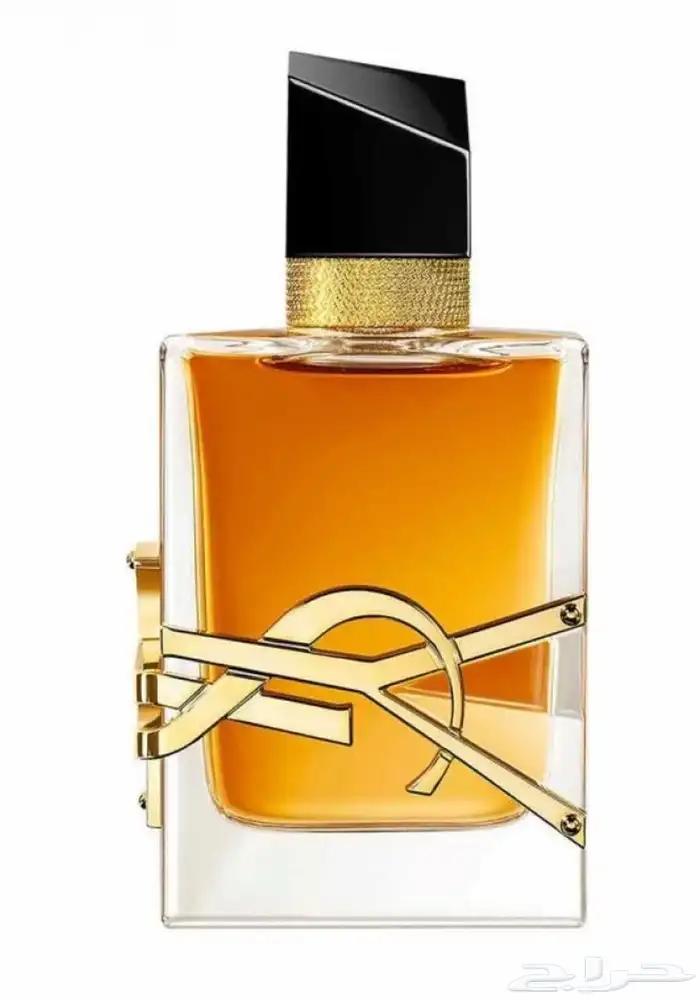 عطور ماركات عالمية 2