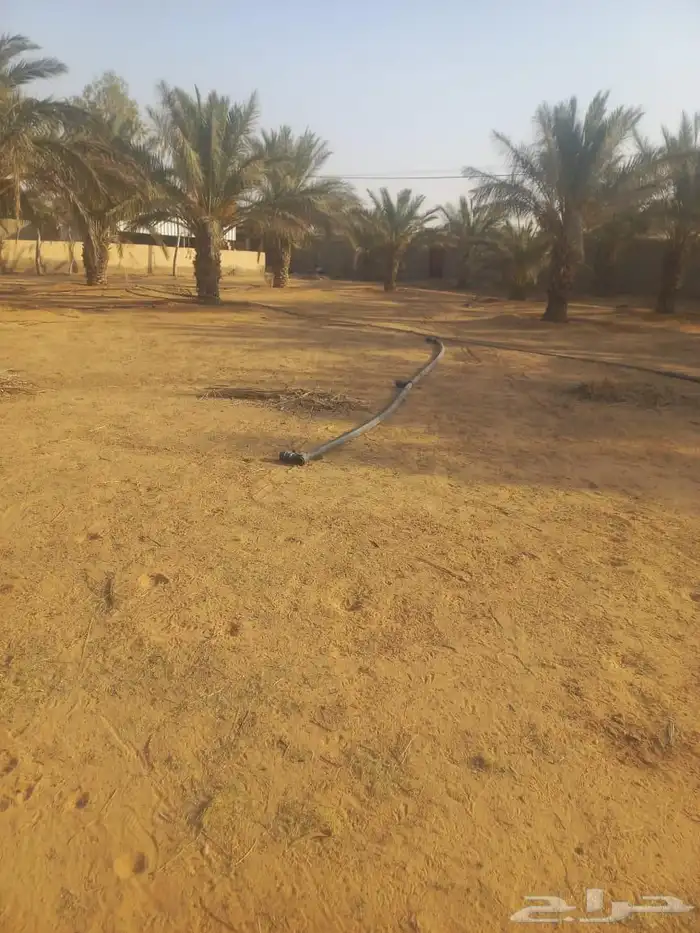 مزرعة واستراحة للبيع 0