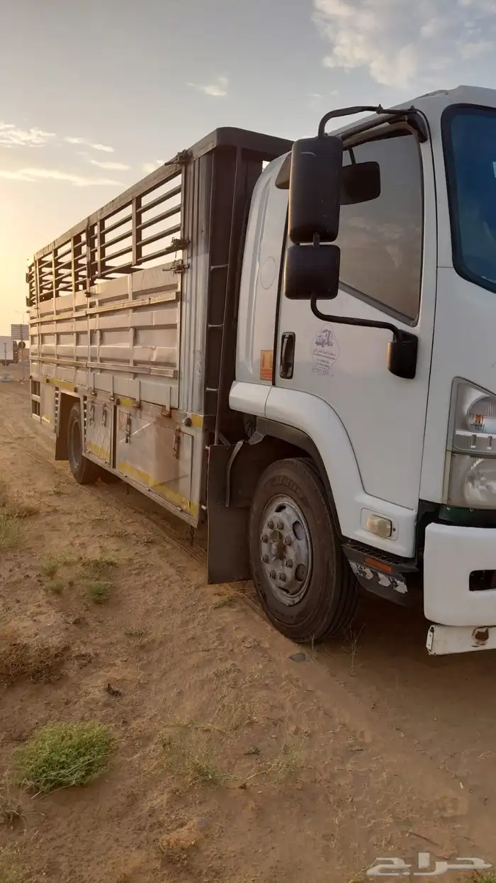 سيوزا 0