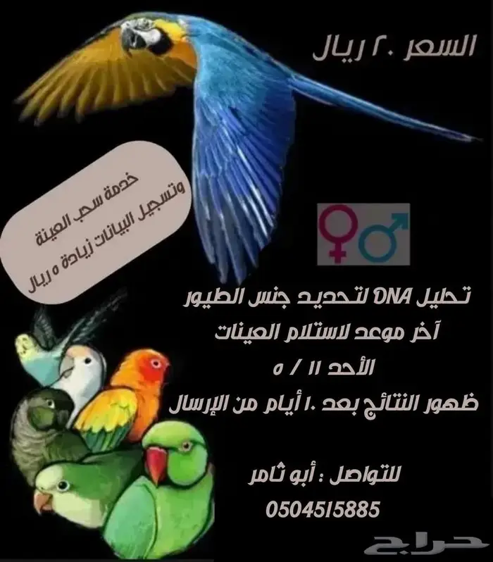 تحليل DNA للطيور 0