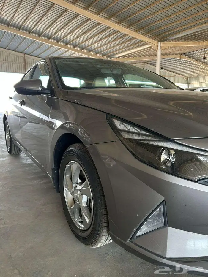 النترا ستاندر سعودي 2023 3