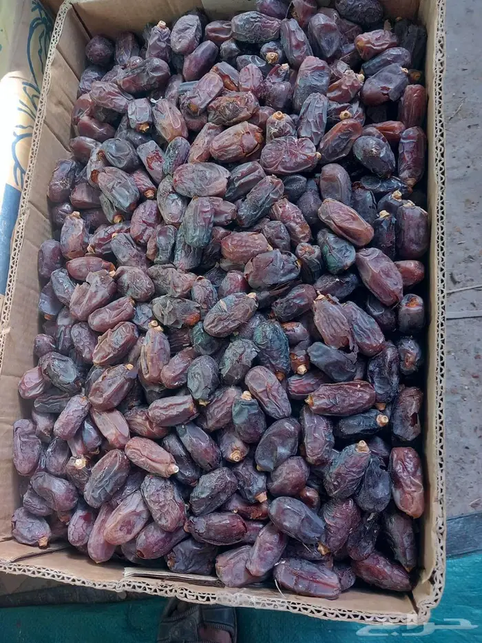 تمر حلوه لليع 0