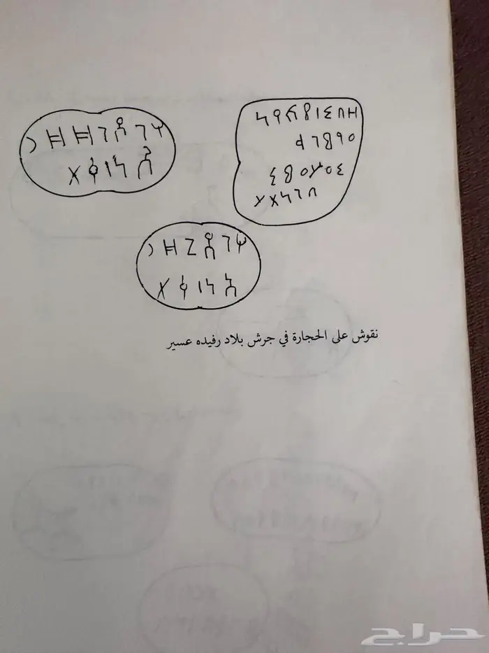 كتاب غامد وزهران 2