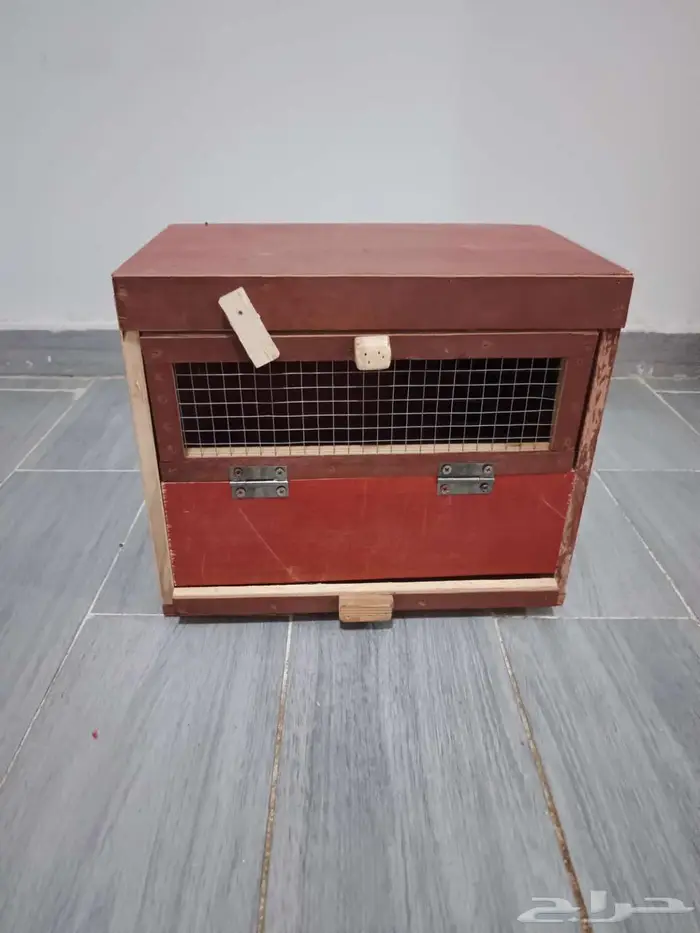 حضانه طيور 0