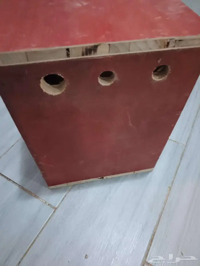 حضانه طيور 1